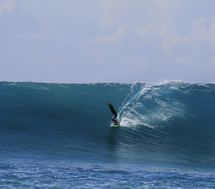Fish 101 (Grom, S) - Apex